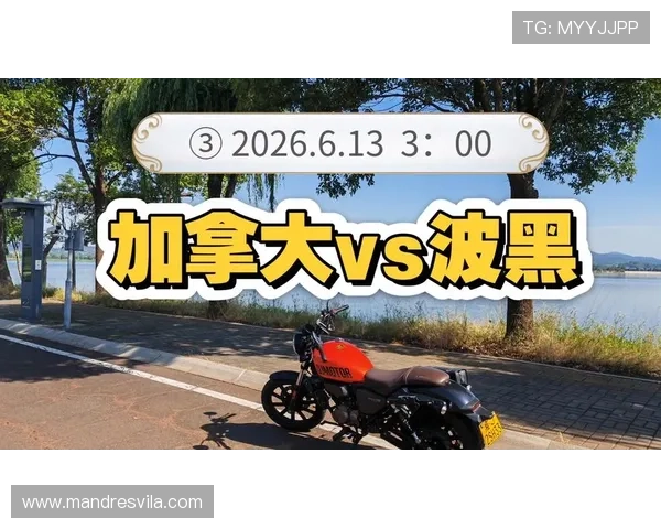 加拿大vs波黑比赛伤停情况对比赛结果可能产生的影响深度解析